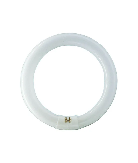 Circline 40W T9 Fluorescent in Daylight