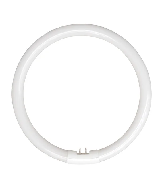 22W T5 Circular Fluorescent in Cool White