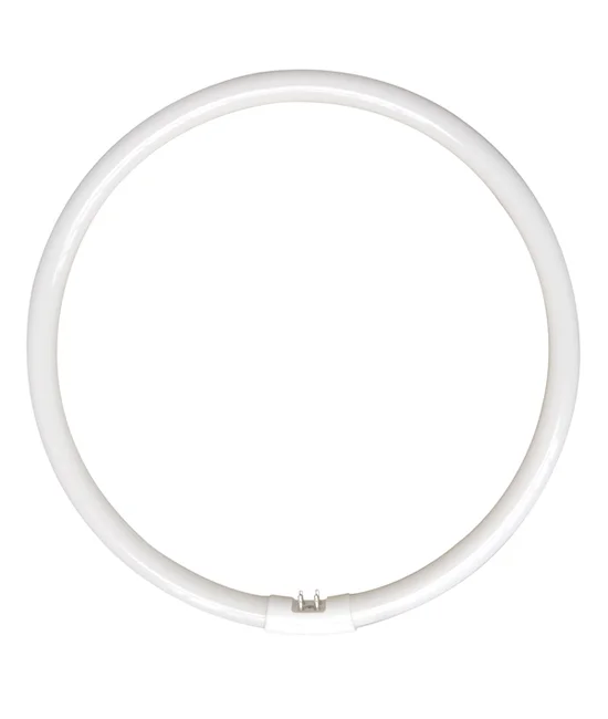 32W T5 Circular Fluorescent in Cool White