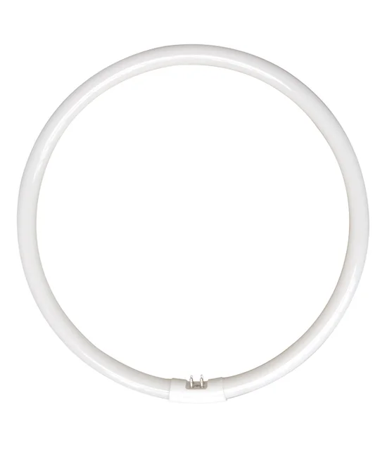 40W T5 Circular Fluorescent in Cool White