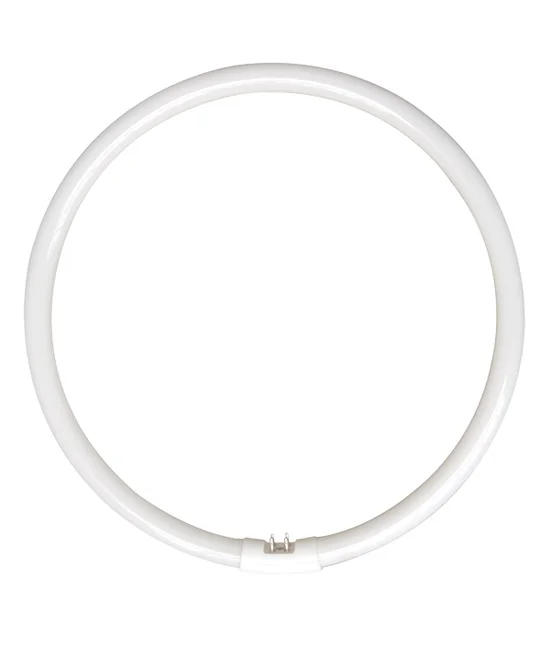 55W T5 Circular Fluorescent in Cool White