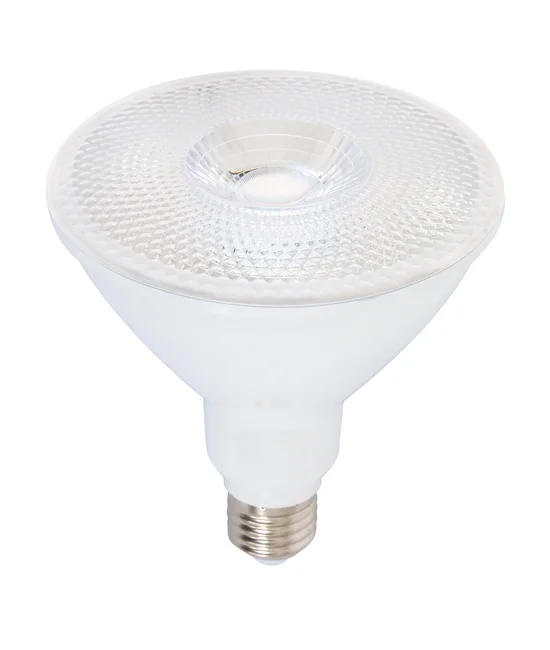 11W LED ES PAR38 Globe in Warm White