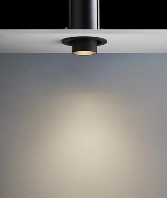 1 Light Adjustable Spotlight in Black