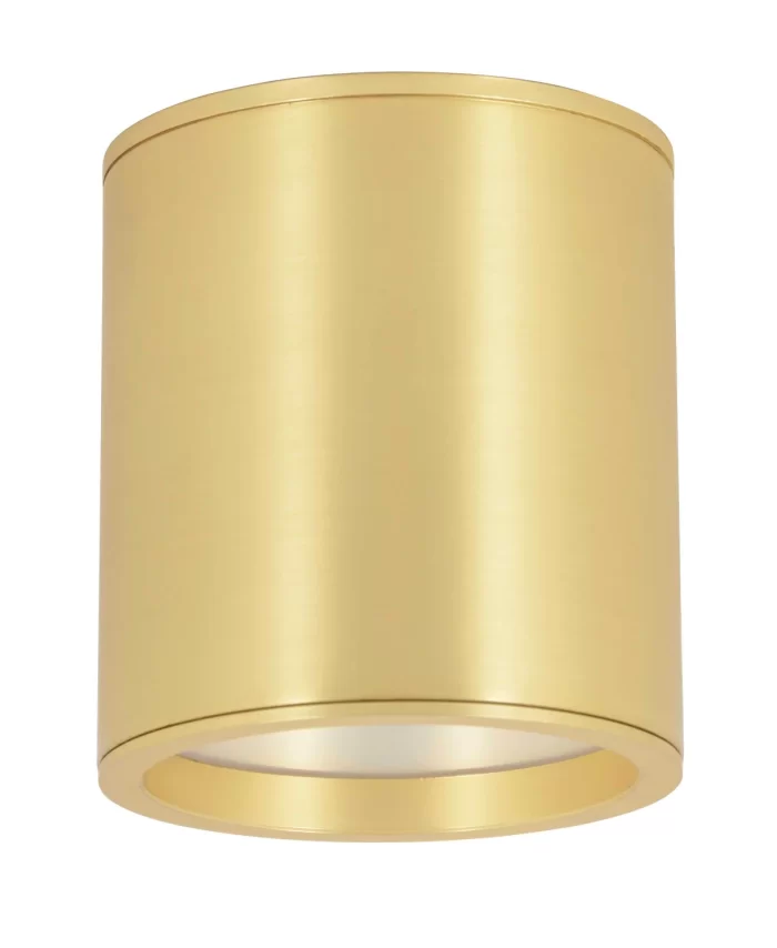 100mm Surface Dimmable Downlight in Brass