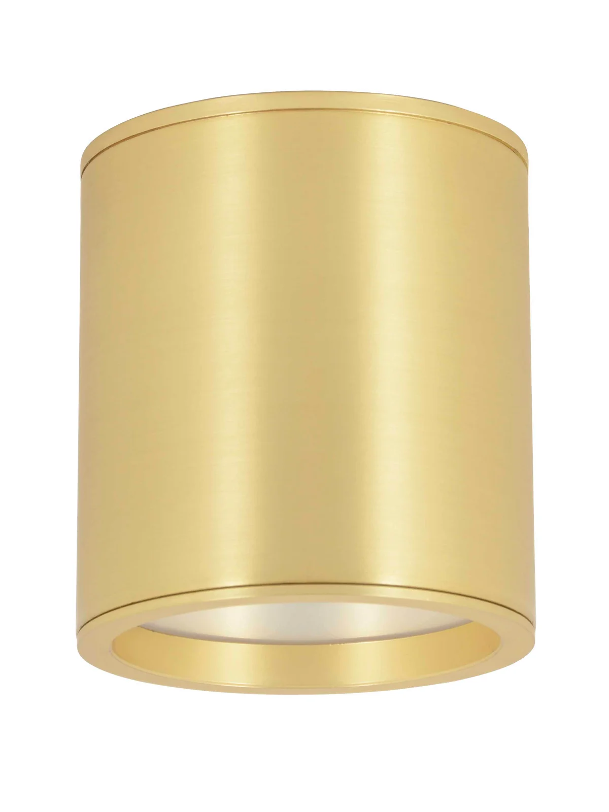 100mm Surface Dimmable Downlight in Brass