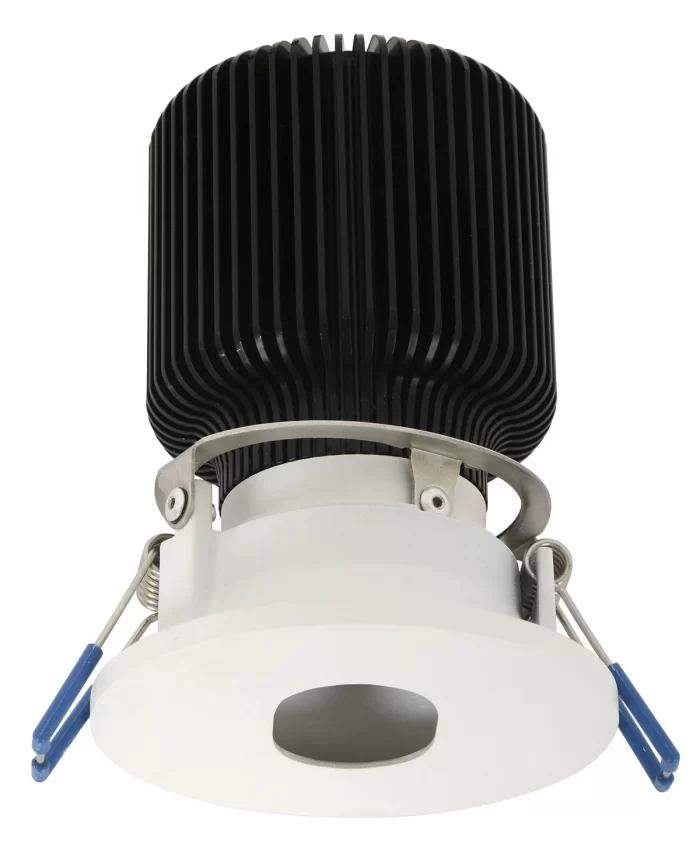 Accent Pinhole Adjustable LED Dimmable White Downlight in Cool White