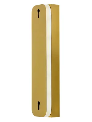 LED Tall Wall Sconce Only in Brass