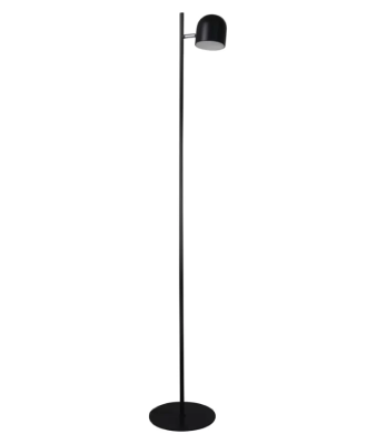 LED Dimmable Floor Lamp in Black