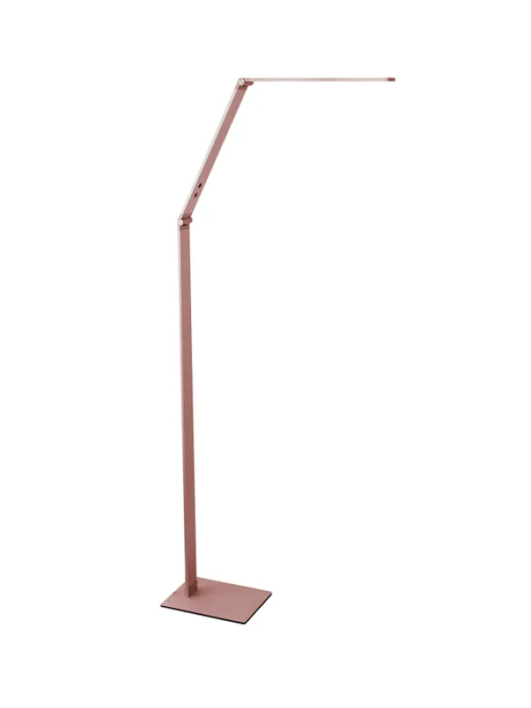 LED Bronze Dimmable Colourshift Floor Lamp