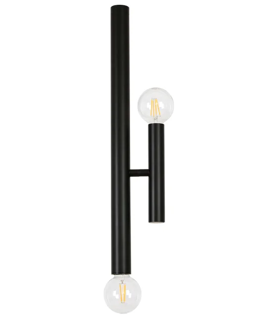 2 Light Drop Pendant with Adjustable Arm in Black